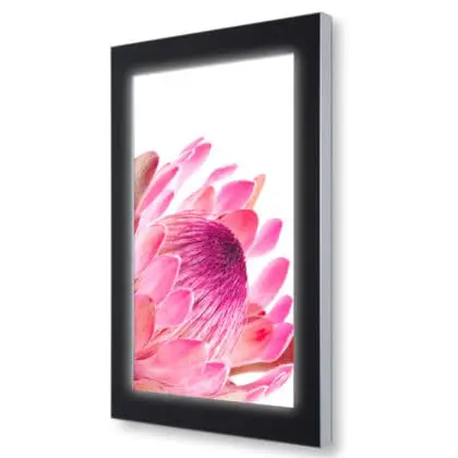 Outdoor LED Premium plakatramme 70x100 cm