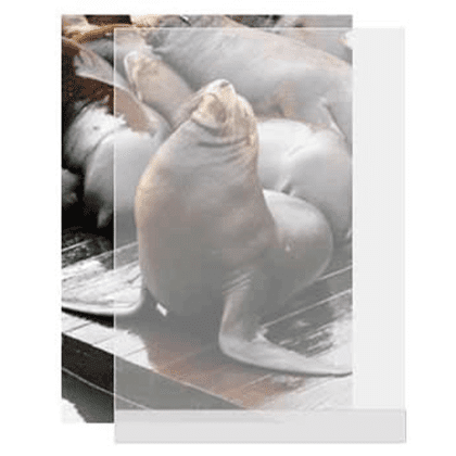 PET front 70x100 for WTExcel og WTEeco