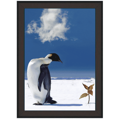 Snapramme 70×100 cm med 32 mm SORT profil i gering