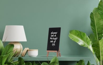 Interior wall mockup with green plant,Green wall and shelf. Interior wall mockup with green plant,Green wall and shelf.3D rendering